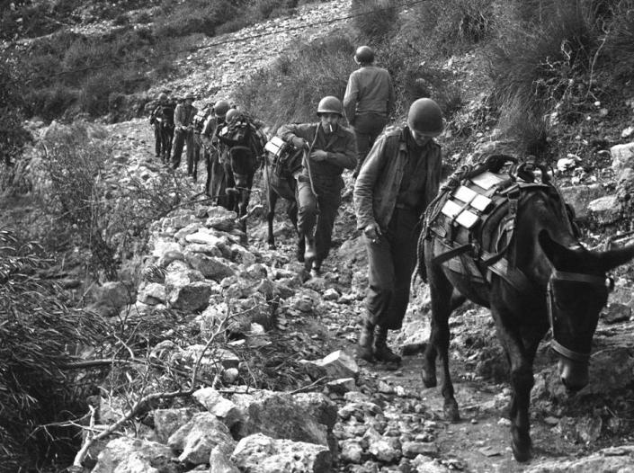 Here's a sample of the terrain over which British and American forces of the Fifth army are fighting in Italy, Jan. 15, 1944. A mule pack train, its load delivered to the men at the front, winds its way down a steep trail homeward bound for another load. (AP Photo)
